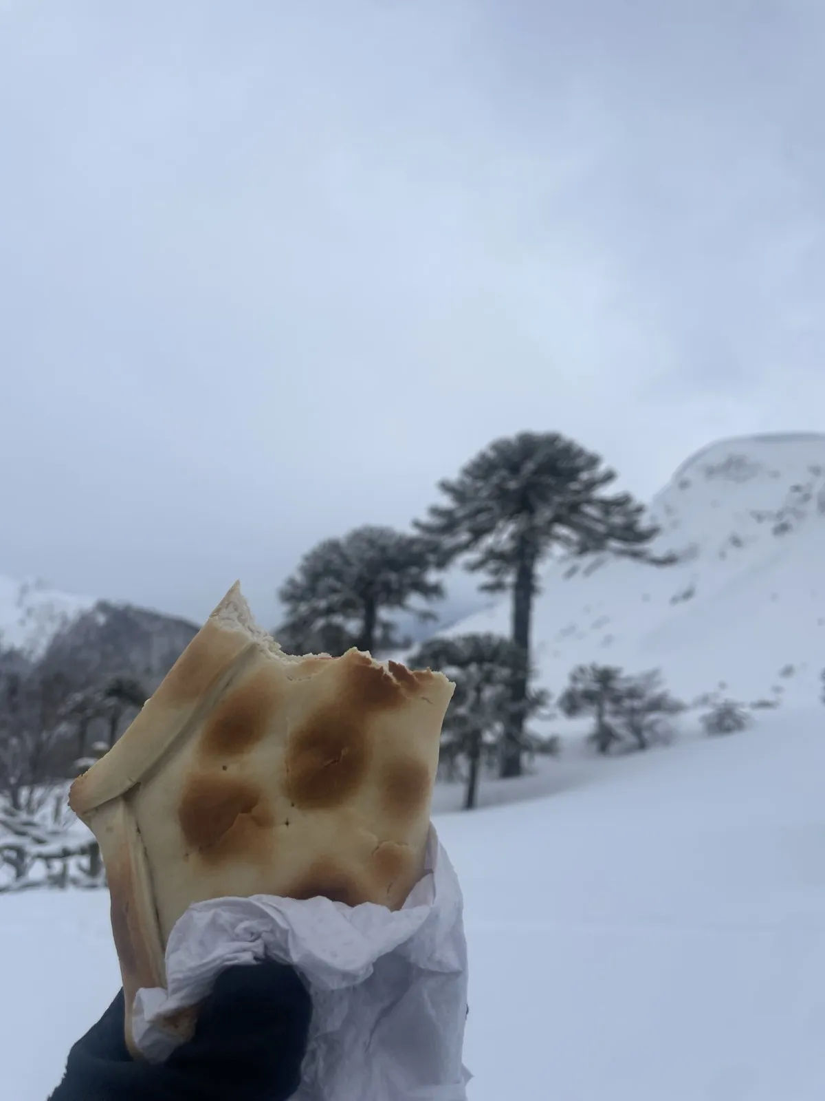 Traditional Empanadas