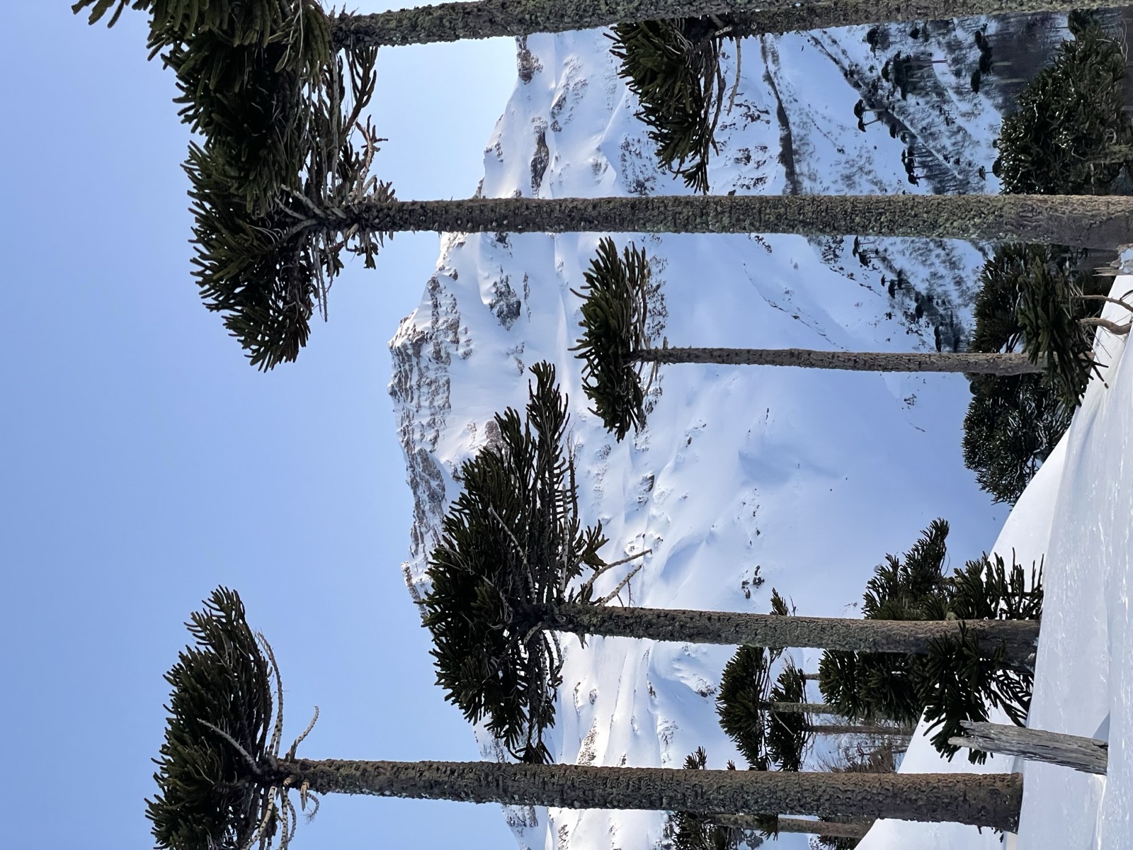 Powder day in Tolhuaca